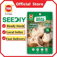 TRIO SEEDIY Jicama 沙葛 Sengkuang 403 veggie seeds