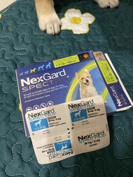 NexGard Spectra Chewable Tablets for Dogs (7.5-15kg)