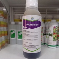 Ambition Acid Amino + Peptida 1L Bayer