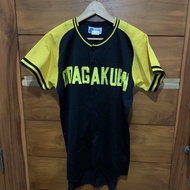 Original Jersey Baseball Vintage AVIS STITCH impor jepang