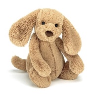 Jellycat Bashful Toffee Puppy 31cm 小黃狗