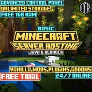 Minecraft Server Hosting | Java & Bedrock | 24/7 Online | Free Trial | Modded & Vanilla
