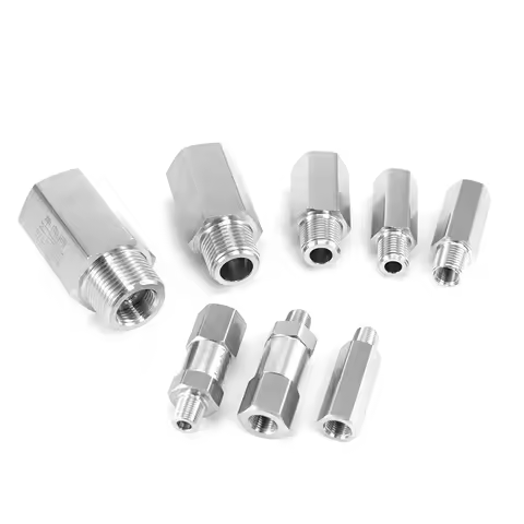SS304 Check Valve Female to Male 1/8'' 1/4'' 3/8'' 1/2'' 3/4'' 1'' BSPP Thread Stainless One Way Fue