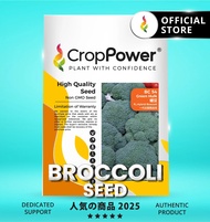 (5 GRAM) Biji Benih Brokoli Green Hulk 硬汉 BC54 CROP POWER F1 Hybrid Broccoli seeds  西兰花种子 BC54