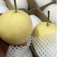 ready 1 kg Buah Century Pear Segar