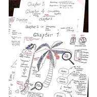 🔥[IGCSE Notes]IGCSE Year 8 SCIENCE Notes (Biology)hard copy