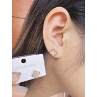 Premium Quality Women's TITANIUM CLOVER Stud Earrings AT002