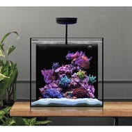 Waterbox Aquariums CUBE 20 (45 x 45 x 40cm) Starphire Glass Nano Tank 80L