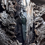 天然礦石/尼泊爾喜馬拉雅山綠泥水晶/護符-靈山幽影