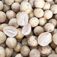 DUKU PALEMBANG 1KG/BUAH DUKU PALEMBANG FRESH MANIS/BUAH DUKU MANIS