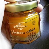 Bio Gold Cream - Krim Cendawan Mekah ( Kurap, Ekzema, Jerawat, Gatal² Kulit)- Skin, Eczema, Acne, Sk