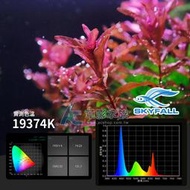 【AC草影】SKYFALL 天賞 2代高功率 LED水草燈（45cm）【一支】ECS011903 水草燈