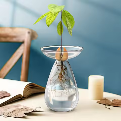 Avocado Hydroponic Vase Transparent Plant Propagation Station Glass Avocado Tree Flower Vase for Gar