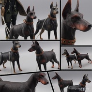 Animal Model Doberman 1/6 Model Soldier Accessories Scene ob Doll Biochemical Zombie Crisis Dog