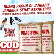 BRAL BRUL pakan khusus burung murai indukan