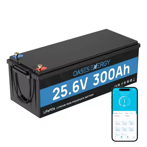 24V 300Ah LiFePO4 Battery Bluetooth 200A BMS Deep Cycle 7680Wh Off-Grid Solar RV Marine Custom