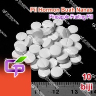 10 biji Pil Hormon Buah Nanas Nenas / Pineapple Fruiting Pill / Alpha Naphthyl Acetic Acid