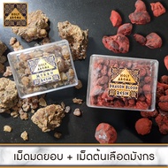 ชุดเครื่องหอม อโรม่า มดยอบ เม็ดมดยอบ เรซิ่น อโรม่า Myrrh Resin Gum Tear แท้ 100% 50g + เม็ด เรซิ่น ต