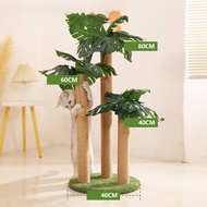 BHQ PET COD คอลัมน์ขูดแมว แมวต้นไม้แมวปีนกรอบ เสาลับเล็บแมวได้ ทนต่อการขีดข่วน สูง80 cm ของเล่นแมว