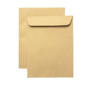 Catalog Envelope 6" x 9" per piece