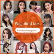 Grateful Give Back~Super Economical Surprise Mystery Box~Random Whole Wig New Product Wig Unspecifie