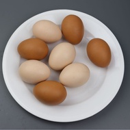 [Simulation Model] Simulation Eggs Duck Eggs Simulation Eggs Fried Eggs Model Love Poached Eggs Frie