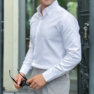 OXFORD WEMAN men's button down shirt, elegant and luxurious oxford material - WMA2502 Oxford Shirt