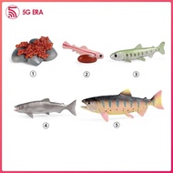 [Wishshopeezzxh] Life Cycle of Salmon Toys Life Growth Cycle Figure Biology Model Educational Preschool Teaching Role Play Birthday Gifts