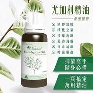 100%純天然 萬用尤加利精油50ml