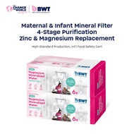 BWT Magnesium Zinc Ions Filter Cartridge Water Purifier Universal Water Jug Filter Water Filter Orig