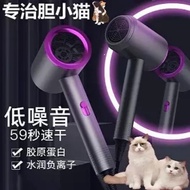 Pet Hair Dryer Low Noise Household Bath Drying Handy Tool Cat Dog Large Dog Bath Special Hair Dryer