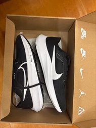 Nike Pegasus 40