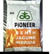 BENIH jagung hibrida P89 sahabat