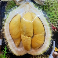 durian musang king utuh malaysia 