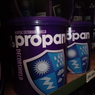 PROPAN Decorshield DW-500