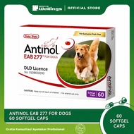 [Wellings] Vetz Petz Antinol EAB277 For Dogs | Supports Joint Mobility & Anti-Inflammatory, Improve 