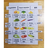 Montessori Toddles Busy book hard copy sayur 蔬菜 vegetable 456years kids 3 languages BM华语English pres