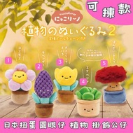 日本扭蛋 圓眼仔 植物 掛飾公仔 可揀款 Qualia 吊飾公仔 扭蛋界jellycat 模型 擺設 扭蛋 玩具 capsule toy 日本代購 日本直送 大波斯菊 薰衣草 黃色鬱金香 石蓮花 楓樹