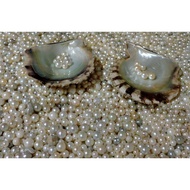 Pearl Precious Gemstone {6ct}