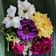 Fresh 7 Types of Flowers CHEAP