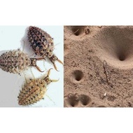 100 MHA reverse packages