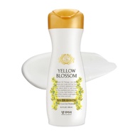 [ DAENG GI MEO RI ] Expiration date imminent YELLOW BLOSSOM Hair Loss Care Treatment 300ml