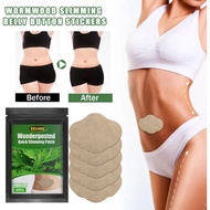 EELHOE Wonderposted Quick Slimming Patch 5pcs Koyo Pelangsing Koyo Pelangsing Penurun Berat Badan Sl