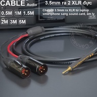 3.5mm cable to 2 XLR male converts Sound from Laptop Smartphone to Mixer Speaker Sound card - 1/8 to