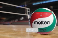Volleyball/Mikasa volleyball/molten volleyball