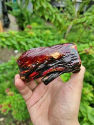 Gelang Akar Bahar Merah Berserat Babon Super Jumbo