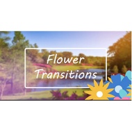 Flower Transitions Pack + Music – Motionarray 222616 [download]
