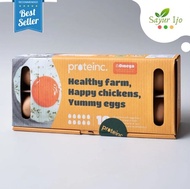 Telur Ayam Omega 3 Proteinc Isi 10 Pcs Fresh Telor Premium Organik