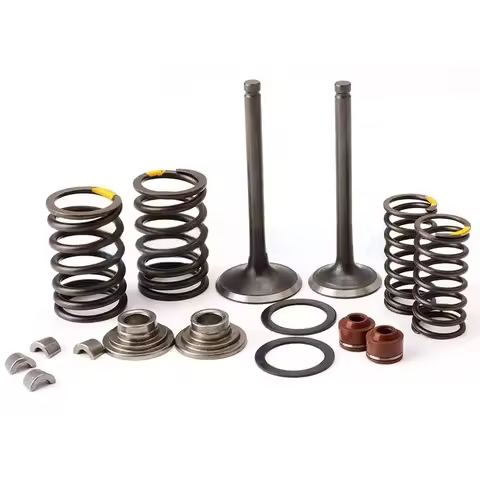 Motorcycle parts LF 125 cc LIFAN horizontal 125 engine intake and exhaust valves Kit with Valve Spri