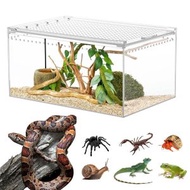 全城熱賣 - 透明壓克力爬蟲飼養盒 多功能陸龜守宮箱 適用於蜘蛛 蜥蜴 角蛙等寵物 觀察清晰 通風透氣 打造舒適居住環境 爬蟲愛好者的必備之選
